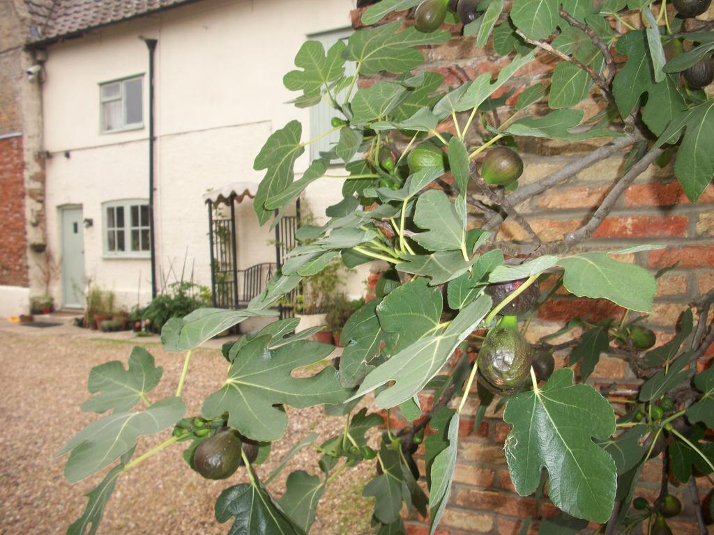 West Row The Walnuts Country House מראה חיצוני תמונה
